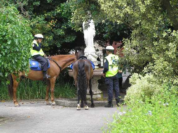 079_CapetownParkPferdetraenke.JPG