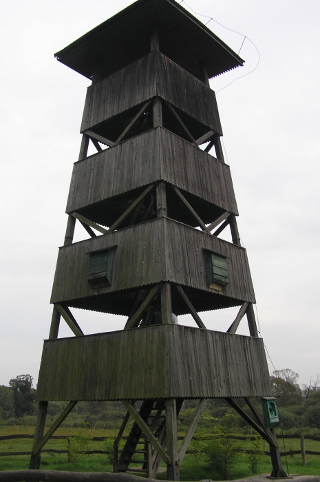 110_Ungarn_Fledermaeuse.JPG