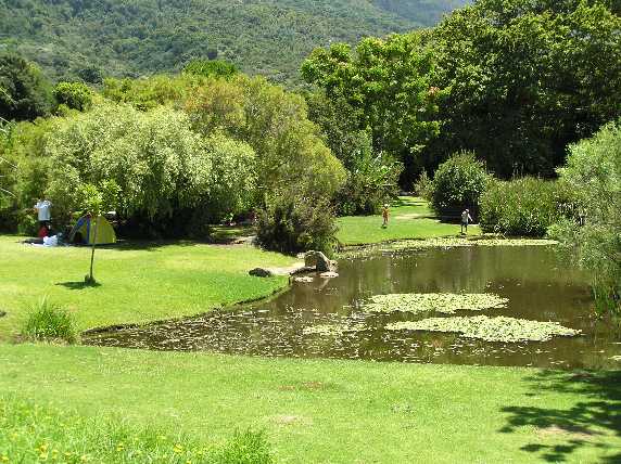 112_BotGarten_Kirstenbosch.JPG